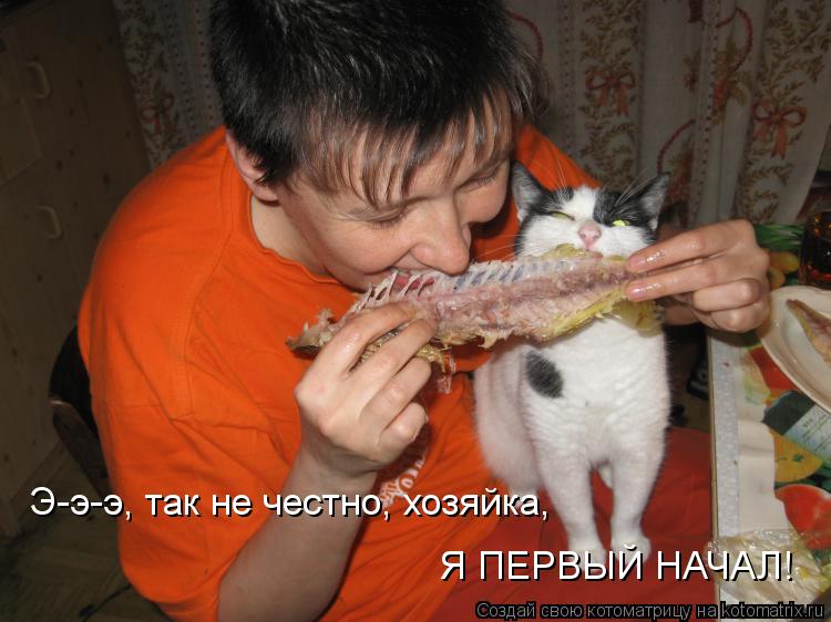Котоматрица: Э-э-э, так не честно, хозяйка, Я ПЕРВЫЙ НАЧАЛ!