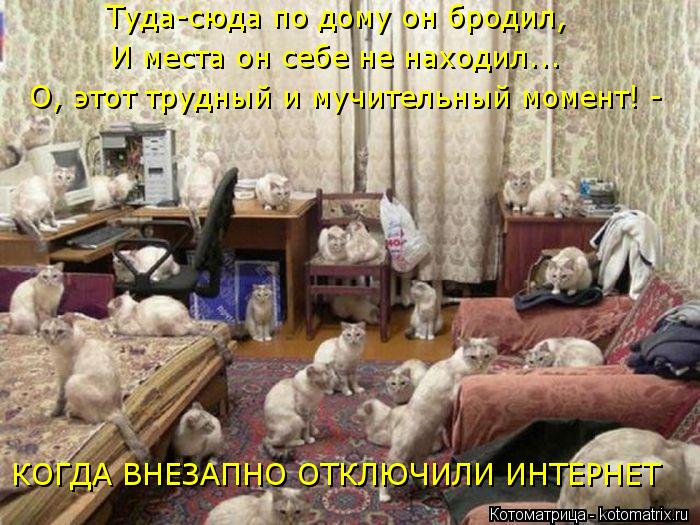 Котоматрица: КОГДА ВНЕЗАПНО ОТКЛЮЧИЛИ ИНТЕРНЕТ Туда-сюда по дому он бродил, И места он себе не находил... О, этот трудный и мучительный момент! -