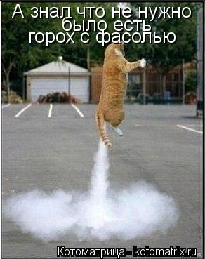А знал что не нужно было есть горох с фасолью... Котоматрица: А знал что не нужно было есть горох с фасолью