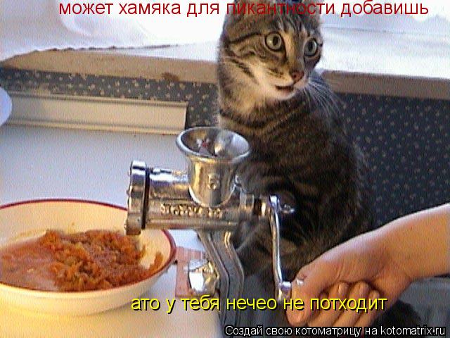 Котоматрица: может хамяка для пикантности добавишь ато у тебя нечео не потходит