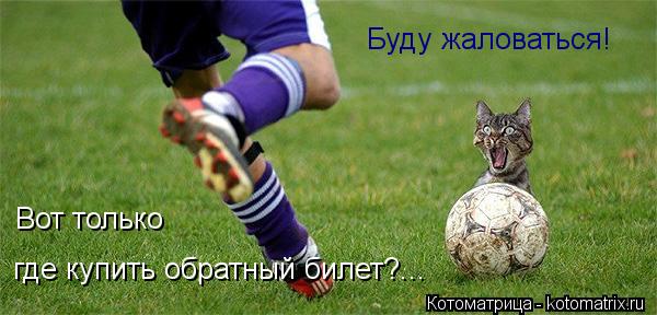 Котоматрица: Буду жаловаться!  Вот только  где купить обратный билет?...