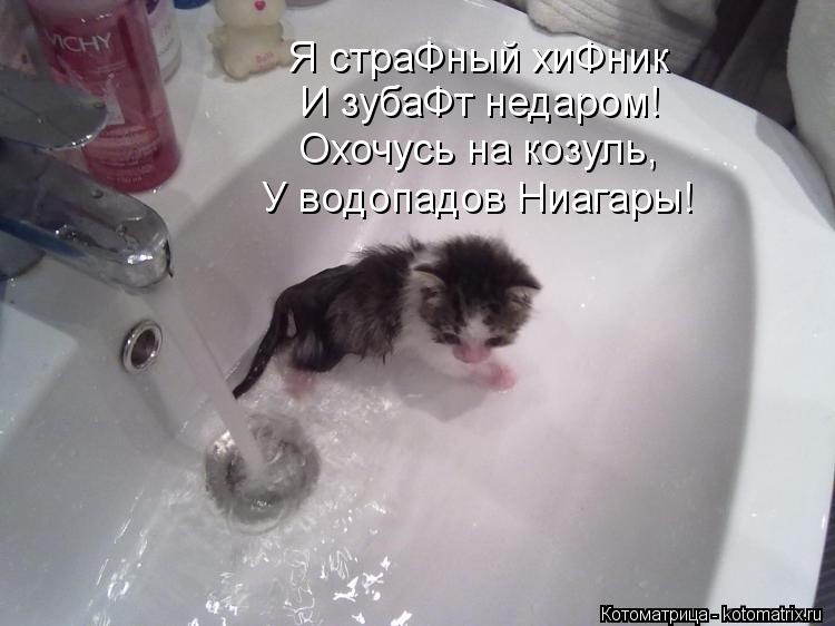 Котоматрица: Я страФный хиФник И зубаФт недаром!  Охочусь на козуль, У водопадов Ниагары!