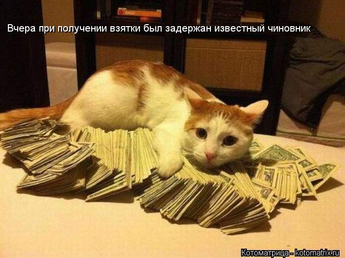 Котоматрица: Вчера при получении взятки был задержан известный чиновник