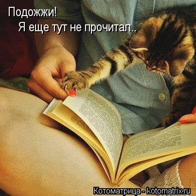Подожжи! Я еще тут не прочитал..... Котоматрица: Подожжи! Я еще тут не прочитал..