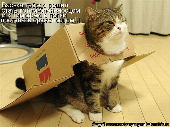 Котоматрица: Васька твёрдо решил стать котом-браненосцом и к Тимофею в полки поступать оруженосцом!!!