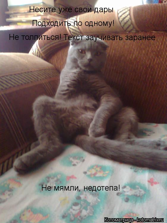 Котоматрица: Несите уже свои дары Подходить по одному! Не толпиться! Текст заучивать заранее Не мямли, недотепа!