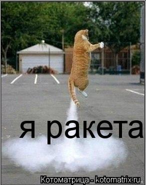 Котоматрица: я ракета