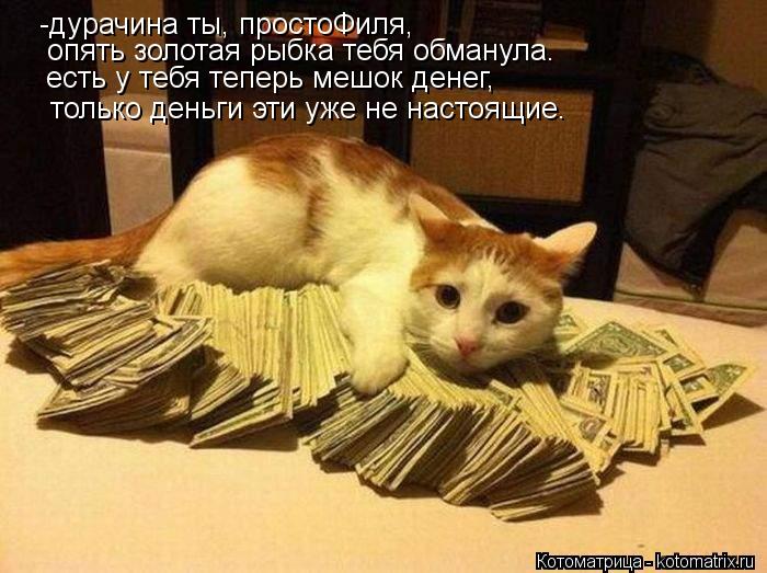 Котоматрица: -дурачина ты, простоФиля, опять золотая рыбка тебя обманула. есть у тебя теперь мешок денег, только деньги эти уже не настоящие.