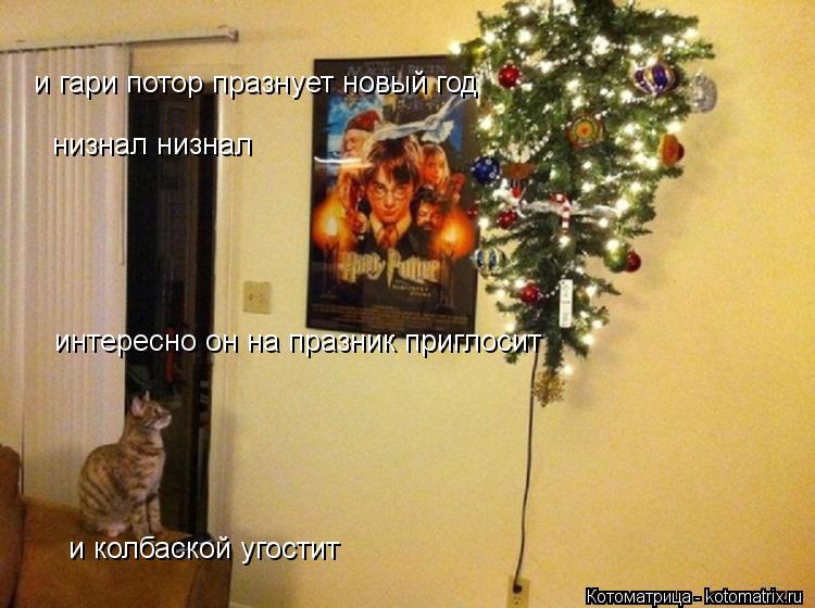 и гари потор празнует новый год низнал низнал интересно он на празник приглосит и колбаской угостит... Котоматрица: и гари потор празнует новый год низнал низнал интересно он на празник приглосит и колбаской угостит