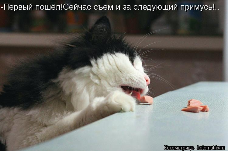 Котоматрица: -Первый пошёл!Сейчас съем и за следующий примусь!..