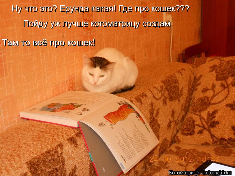 Котоматрица: Ну что это? Ерунда какая! Где про кошек??? Пойду уж лучше котоматрицу создам. Там то всё про кошек!
