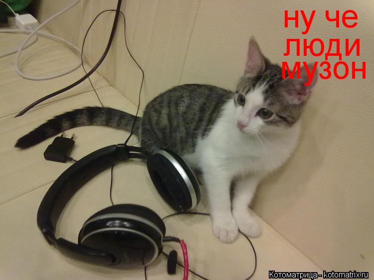 Котоматрица: ну че музон люди