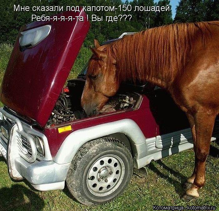 Мне сказали под капотом-150 лошадей Ребя-я-я-я-та ! Вы где???... Котоматрица: Мне сказали под капотом-150 лошадей Ребя-я-я-я-та ! Вы где???