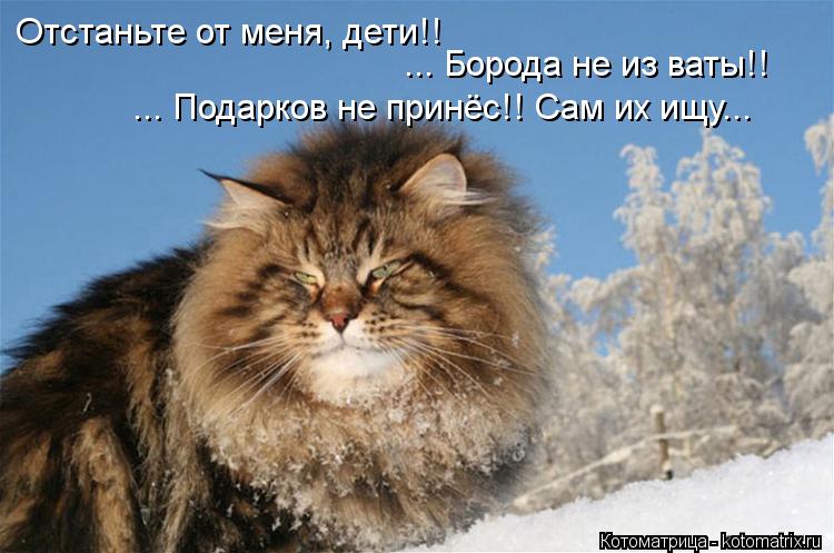 Котоматрица: Отстаньте от меня, дети!! ... Борода не из ваты!! ... Подарков не принёс!! Сам их ищу...