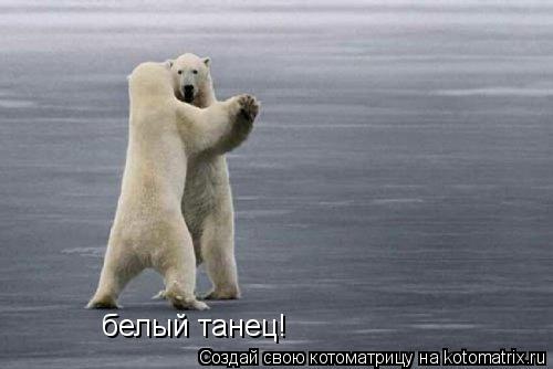 Котоматрица: белый танец!