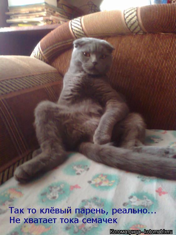 Так то клёвый парень, реально... Не хватает тока семачек... Котоматрица: Так то клёвый парень, реально... Не хватает тока семачек