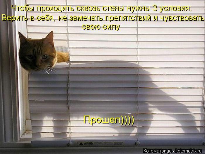 Чтобы проходить сквозь стены нужны 3 условия: Верить в себя, не замечать препятствий и чувствовать с... Котоматрица: Чтобы проходить сквозь стены нужны 3 условия: Верить в себя, не замечать препятствий и чувствовать свою силу Прошел))))