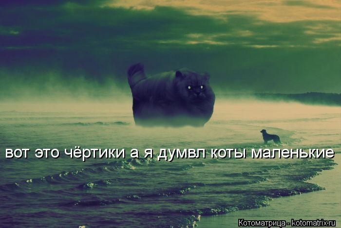 вот это чёртики а я думвл коты маленькие... Котоматрица: вот это чёртики а я думвл коты маленькие