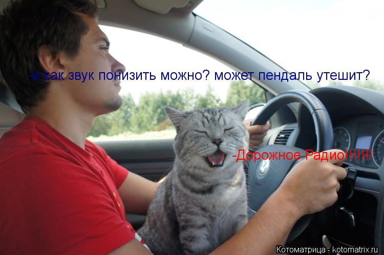 Котоматрица: -Дорожное Радио!!!!!!! -и как звук понизить можно? может пендаль утешит?