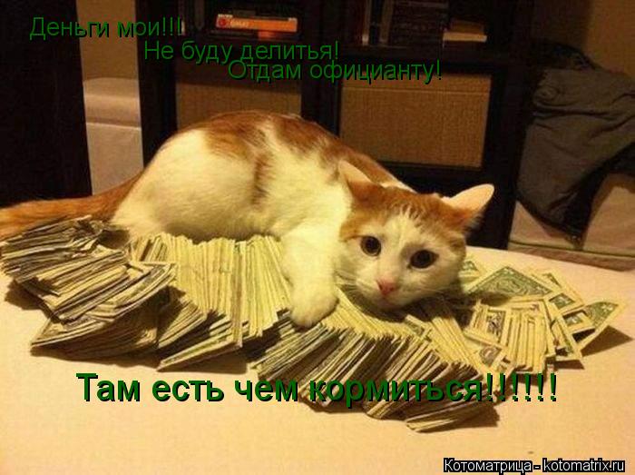 Котоматрица: Деньги мои!!! Не буду делитья! Отдам официанту! Там есть чем кормиться!!!!!!