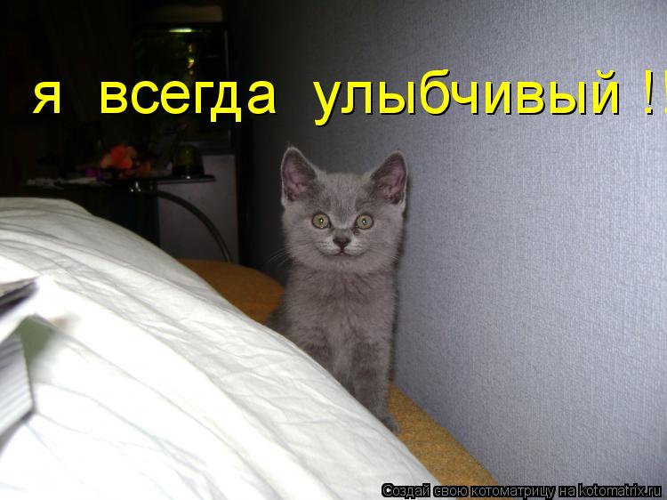 я всегда улыбчивый !!... Котоматрица: я всегда улыбчивый !!