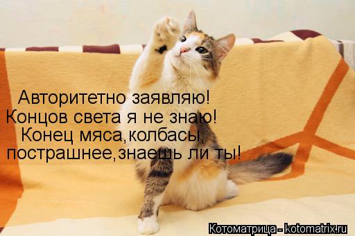 Котоматрица: Авторитетно заявляю! Концов света я не знаю! Конец мяса,колбасы, пострашнее,знаешь ли ты!