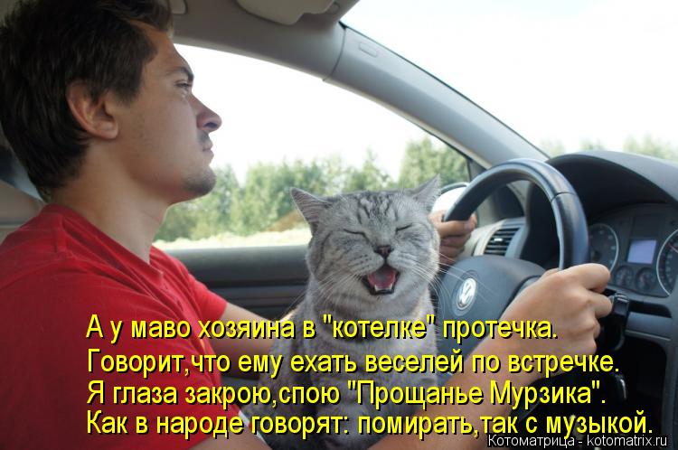 А у маво хозяина в "котелке" протечка. Говорит,что ему ехать веселей по встречке. Я глаза закрою,спою... Котоматрица: А у маво хозяина в "котелке" протечка. Говорит,что ему ехать веселей по встречке. Я глаза закрою,спою "Прощанье Мурзика". Как в народе говорят: