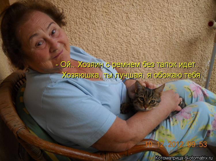 Котоматрица: - Ой.. Хозяин с ремнем без тапок идет.. Хозяюшка, ты лучшая, я обожаю тебя.