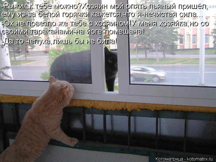 Котоматрица: -Рыжик,к тебе можно?Хозяин мой опять пьяный пришёл, ему из-за белой горячки кажется,что я-нечистая сила... -Ох,не повезло же тебе с хозяином!У м