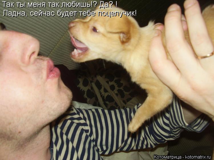 Так ты меня так любишь!? Да?! Так ты меня так любишь!? Да? ! Ладна, сейчас будет тебе поцелучик!... Котоматрица: Так ты меня так любишь!? Да?! Так ты меня так любишь!? Да? ! Ладна, сейчас будет тебе поцелучик!