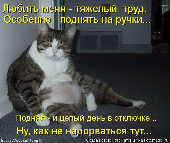 Любить меня - тяжелый труд. Особенно - поднять на ручки... Поднял - и целый день в отключке... Ну, к... Котоматрица: Любить меня - тяжелый труд. Особенно - поднять на ручки... Поднял - и целый день в отключке... Ну, как не надорваться тут...