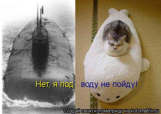Котоматрица: Нет, я под  воду не пойду!