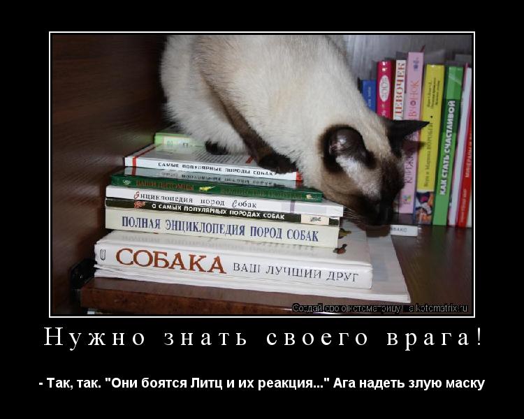 Котоматрица: Нужно знать своего врага! - Так, так. "Они боятся Литц и их реакция..." Ага надеть злую маску