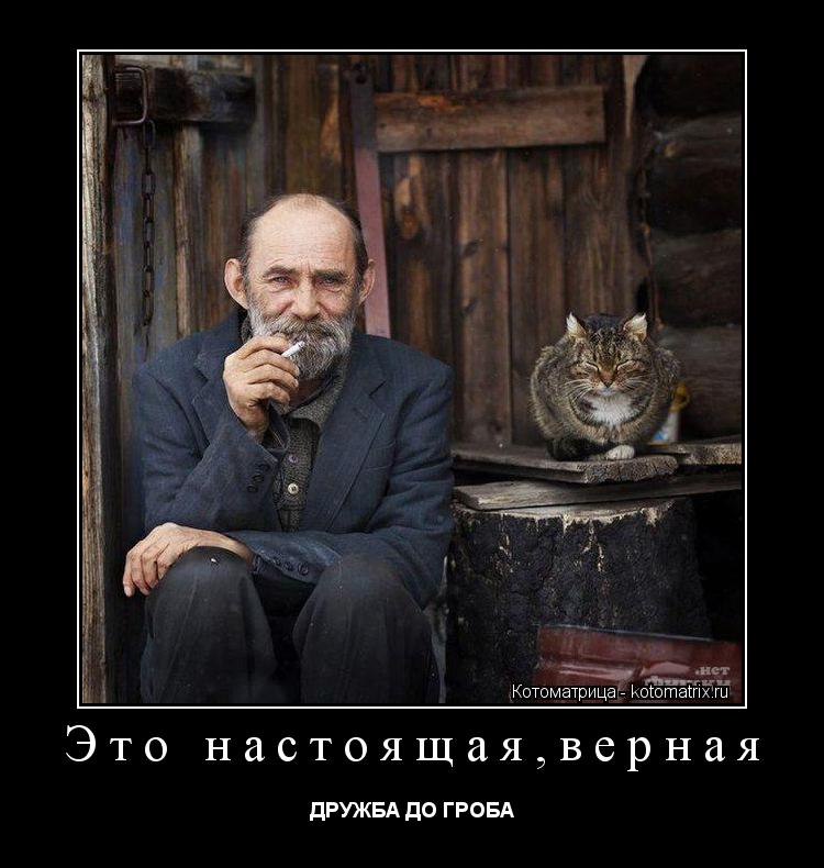 Котоматрица: Это настоящая,верная ДРУЖБА ДО ГРОБА