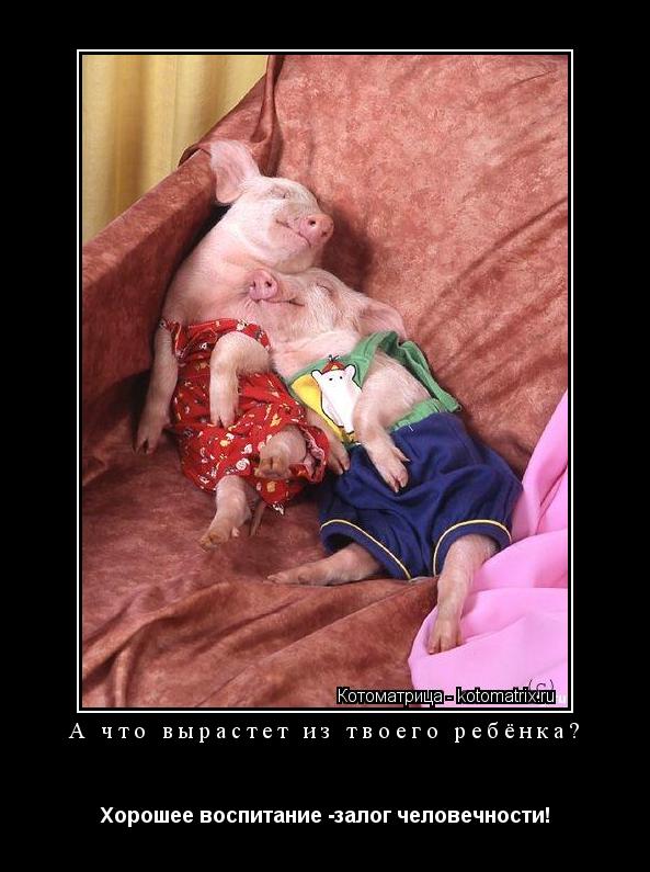 А что вырастет из твоего ребёнка? Хорошее воспитание -залог человечности!... Котоматрица: А что вырастет из твоего ребёнка? Хорошее воспитание -залог человечности!