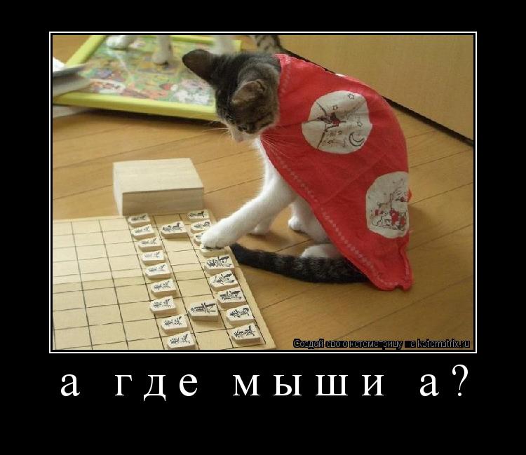 а где мыши а? ... Котоматрица: а где мыши а?