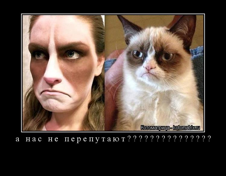 а нас не перепутают??????????????? ... Котоматрица: а нас не перепутают???????????????