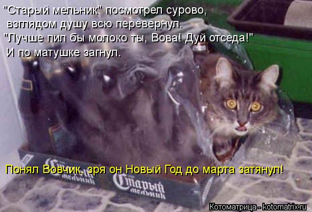 Котоматрица: И по матушке загнул. "Старый мельник" посмотрел сурово, взглядом душу всю перевернул. "Лучше пил бы молоко ты, Вова! Дуй отседа!"  Понял Вовчик,