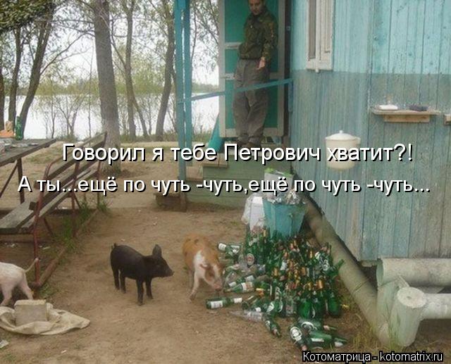 Котоматрица: Говорил я тебе Петров Говорил я тебе Петрович хватит?! А ты...ещё по чуть -чуть,ещё по чуть -чуть...