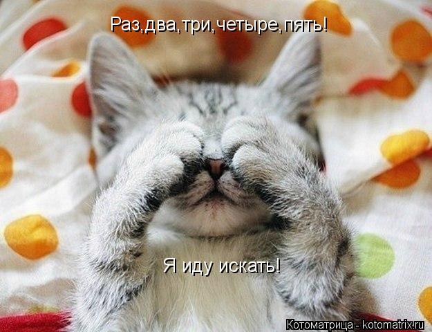 Котоматрица: Раз,два,три,четыре,пять! Я иду искать!