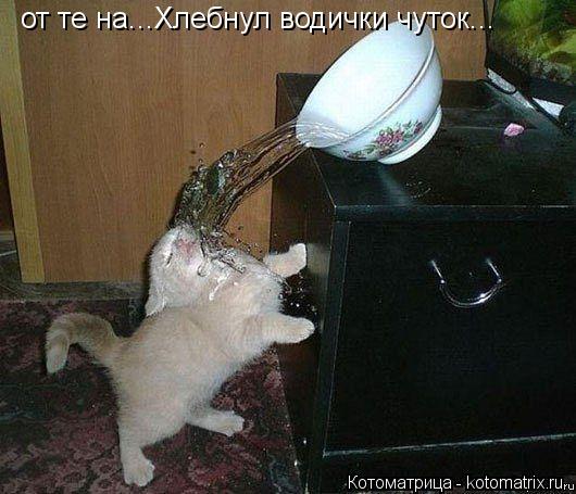 от те на...Хлебнул водички чуток...... Котоматрица: от те на...Хлебнул водички чуток...