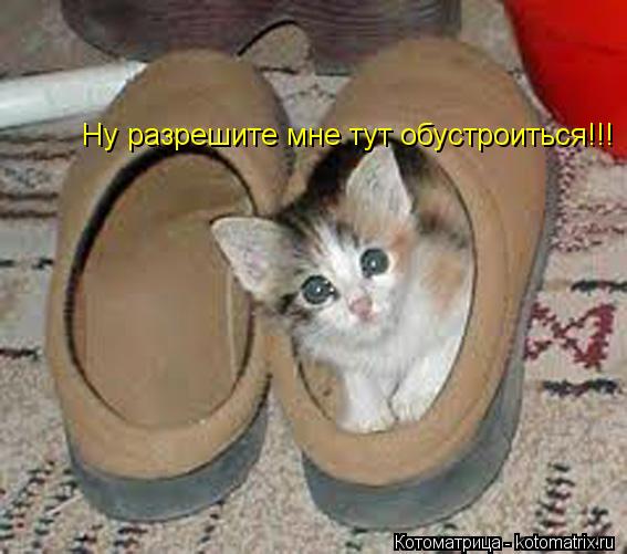 Котоматрица: Ну разрешите мне тут обустроиться!!!