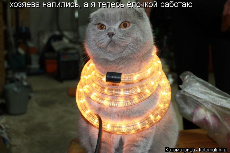 Котоматрица: хозяева напились, а я теперь ёлочкой работаю