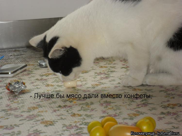 Котоматрица: - Лучше бы мясо дали вместо конфеты,
