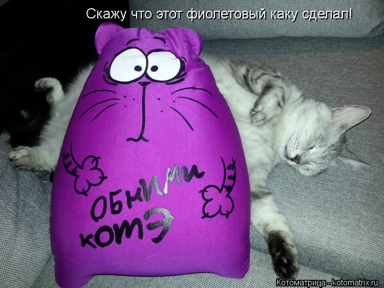 Котоматрица: Скажу что этот фиолетовый каку сделал!