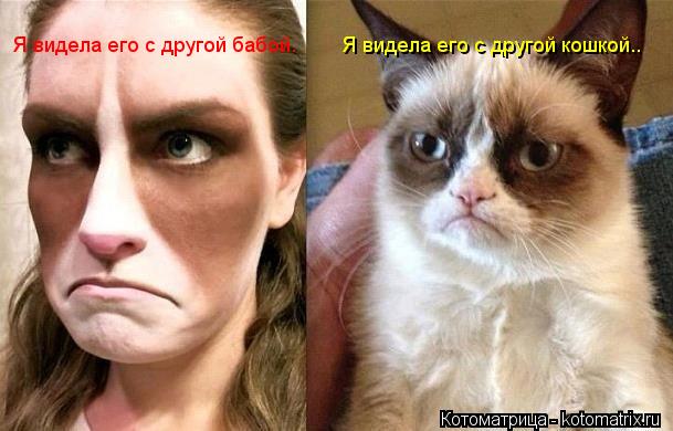 Я видела его с другой бабой. Я видела его с другой кошкой..... Котоматрица: Я видела его с другой бабой. Я видела его с другой кошкой..