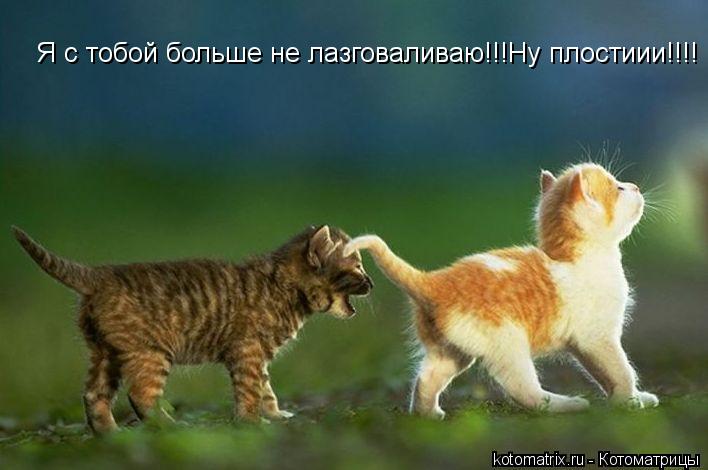 Котоматрица: Я с тобой больше не лазговаливаю!!!Ну плостиии!!!!