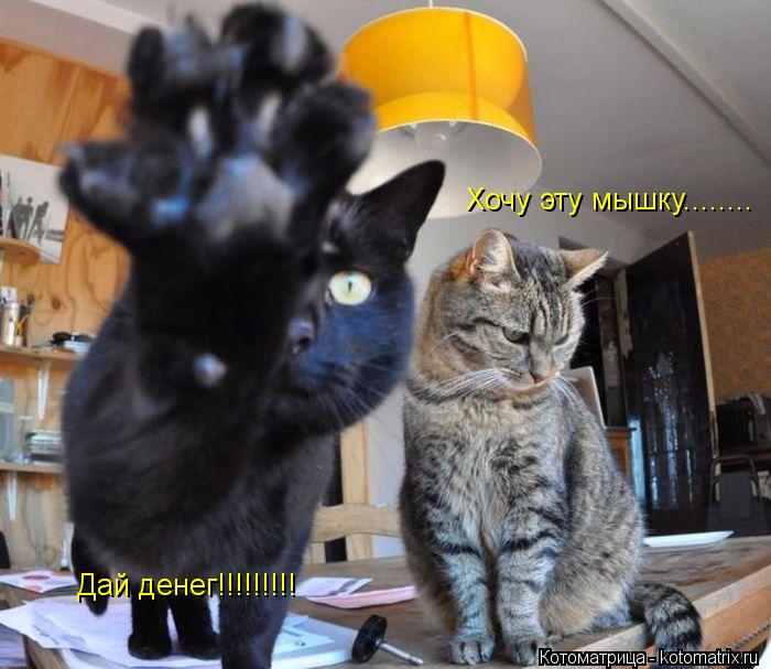 Котоматрица: Дай денег!!!!!!!!! Хочу эту мышку........