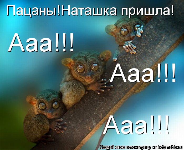 Котоматрица: Пацаны!Наташка пришла! Ааа!!! Ааа!!! Ааа!!! Ааа!!!