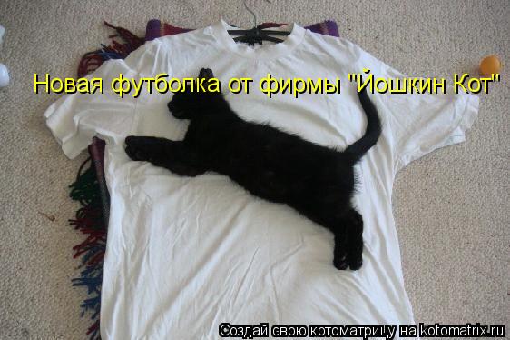 Котоматрица: Новая футболка от фирмы "Йошкин Кот"